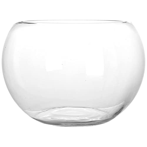 LIFKOME Vase Klare Glas Schale Kleine Aquarium Breite Glasblase Terrarium Sukkulenten Kaktus Pflanzenn Luftpflanzenpflanzer Für Hydrokulturpflanzen Saftiger Pflanzer von LIFKOME