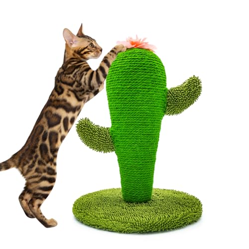 LIFLIX Kratzsäule für Katzen, 42cm Kaktus Kratzbaum Klein, Natursisal Kratzstamm für Katzen Indoor LIFLIX Kratzsäule für Katzen, 42cm Kaktus Kratzbaum Klein, Natursisal Kratzstamm für Katzen Indoor von LIFLIX