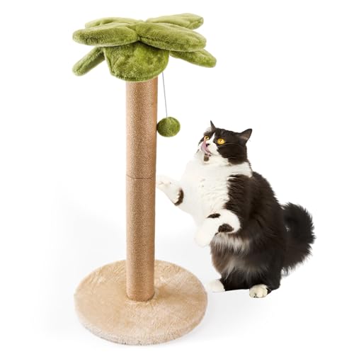 LIFLIX Palme Kratzstamm für Katzen, 86cm Hoch Kratzsäule mit Hängendem Ball, Natürliches Sisalseil Kratzbaum für Große Katzen und Kätzchen LIFLIX Palme Kratzstamm für Katzen, 86cm Hoch Kratzsäule mit Hängendem Ball, Natürliches Sisalseil Kratzbaum für Große Katzen und Kätzchen von LIFLIX