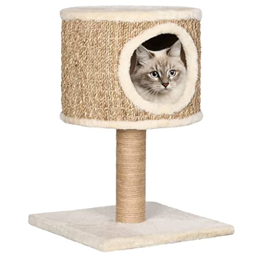 Animals & Pet Supplies Katzenbaum mit Höhle und Kratzbaum, 52 cm, Seegras-Haustierbedarf von LIFTRR