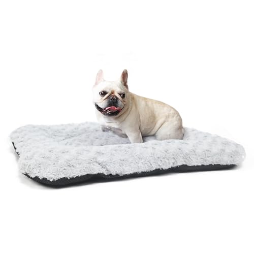 Deluxe Rose Velvet Hundebett – 76,2 x 48,3 cm, waschbar, flauschige Matte, 73,2 x 45,7 x 3,8 cm, Grau Deluxe Rose Velvet Hundebett – 76,2 x 48,3 cm, waschbar, flauschige Matte, 73,2 x 45,7 x 3,8 cm, Grau von LIGENZ