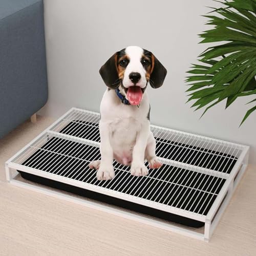 LIGENZ Haustiertöpfchen, Katzentoilette den Innenbereich Hundetrainings-Toilette Heimtrainingstablett Hundewelpen-Töpfchentrainer tragbarer Pad-Halter Hundetoilette Badezimmer Veranda(54 * 37 * 8cm) LIGENZ Haustiertöpfchen, Katzentoilette den Innenbereich Hundetrainings-Toilette Heimtrainingstablett Hundewelpen-Töpfchentrainer tragbarer Pad-Halter Hundetoilette Badezimmer Veranda(54 * 37 * 8cm) von LIGENZ