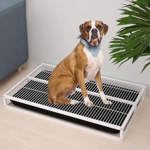 LIGENZ Haustiertöpfchen, Katzentoilette den Innenbereich Hundetrainings-Toilette Heimtrainingstablett Hundewelpen-Töpfchentrainer tragbarer Pad-Halter Hundetoilette Badezimmer Veranda(62 * 45 * 8cm) LIGENZ Haustiertöpfchen, Katzentoilette den Innenbereich Hundetrainings-Toilette Heimtrainingstablett Hundewelpen-Töpfchentrainer tragbarer Pad-Halter Hundetoilette Badezimmer Veranda(62 * 45 * 8cm) von LIGENZ