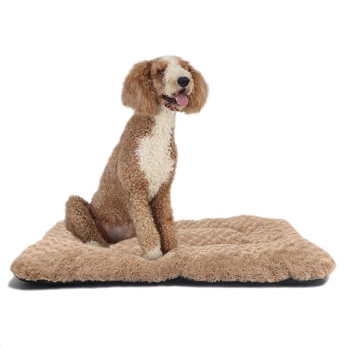 LIGENZ Hundebox-Pad, waschbar, Deluxe-Plüsch-Hundebox-Betten, bequeme Hundehütte, rutschfeste Haustier-Schlafmatte für große Hunderassen, 104,1 x 71,1 x 3,8 cm LIGENZ Hundebox-Pad, waschbar, Deluxe-Plüsch-Hundebox-Betten, bequeme Hundehütte, rutschfeste Haustier-Schlafmatte für große Hunderassen, 104,1 x 71,1 x 3,8 cm von LIGENZ
