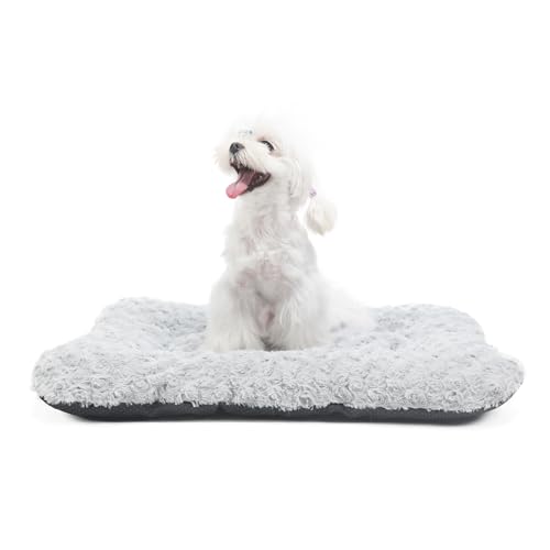 LIGENZ Unterlage für kleine Hundekäfige, waschbar, für Hundekäfige, rutschfeste Unterseite, 58,9 x 43,2 x 3,8 cm, Katzenkissen für gemütliches Schlafen, Grau LIGENZ Unterlage für kleine Hundekäfige, waschbar, für Hundekäfige, rutschfeste Unterseite, 58,9 x 43,2 x 3,8 cm, Katzenkissen für gemütliches Schlafen, Grau von LIGENZ