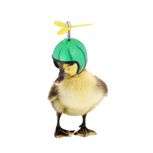 LIGHTAOTAO 2 Stück Lustige Hühnerhelme Schutzhelm für Haustiere und Regenschutz Kreative Kostüme für Hühner und Vögel für Sichere Haltung von Geflügel LIGHTAOTAO 2 Stück Lustige Hühnerhelme Schutzhelm für Haustiere und Regenschutz Kreative Kostüme für Hühner und Vögel für Sichere Haltung von Geflügel von LIGHTAOTAO