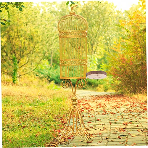 LIGHTAOTAO 2Stücke Vögel Stehstangen aus Kiefernholz Springbrett für Eichhörnchen und Chinchillas Natürliches und Langlebiges Vogelzubehör für Spiel und Bewegung LIGHTAOTAO 2Stücke Vögel Stehstangen aus Kiefernholz Springbrett für Eichhörnchen und Chinchillas Natürliches und Langlebiges Vogelzubehör für Spiel und Bewegung von LIGHTAOTAO