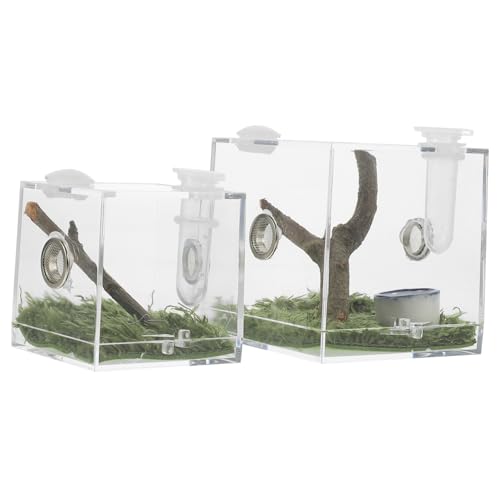 LIGHTAOTAO 2Stücke Zuchtbox für Insekten und Kleine Reptilien Haustier Ausstellungsbox mit Belüftung für Springspinnen Vogelspinnen und Transparent und Langlebig LIGHTAOTAO 2Stücke Zuchtbox für Insekten und Kleine Reptilien Haustier Ausstellungsbox mit Belüftung für Springspinnen Vogelspinnen und Transparent und Langlebig von LIGHTAOTAO