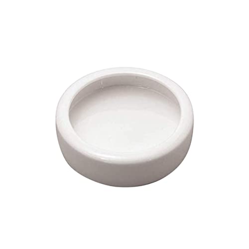 LIGHTAOTAO Crawler Pet Futternapf aus Rundes Futtergeschirr für Garnelen und Kleine Fische für Terrarien und Aquarien Dekorative Futterstelle von LIGHTAOTAO