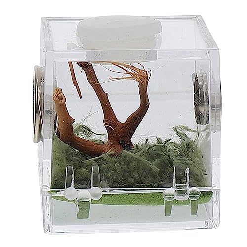 LIGHTAOTAO Haushalts Insektenlebensraum Transparente Fütterungsbox aus Robustem für Springspinnen Terrarium für Reptilienzucht und Sichere Haltung zu Beobachten LIGHTAOTAO Haushalts Insektenlebensraum Transparente Fütterungsbox aus Robustem für Springspinnen Terrarium für Reptilienzucht und Sichere Haltung zu Beobachten von LIGHTAOTAO