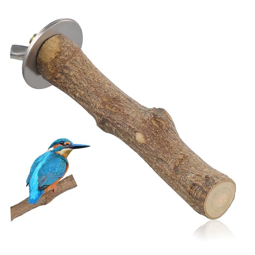 LIGHTAOTAO Holz Vogel Sitzstange Natürlicher Holzwurf für Sittiche Wellensittiche Nymphensittiche zu Installieren Abstandshaltern Design LIGHTAOTAO Holz Vogel Sitzstange Natürlicher Holzwurf für Sittiche Wellensittiche Nymphensittiche zu Installieren Abstandshaltern Design von LIGHTAOTAO