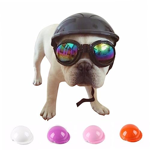 LIGHTAOTAO Hundekopfhelm Cooler Kunststoffhelm für Haustiere Sonnenschutz und Regenschutz Hunde und Katzenkostümzubehör Schwarz von LIGHTAOTAO