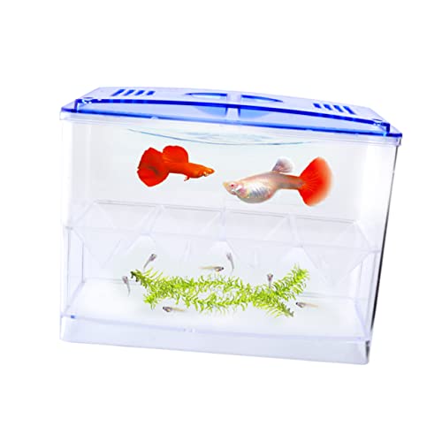 LIGHTAOTAO Transparente Multifunktionale Kleine Fischbrutbox Unabhängiger Inkubator für Aquarien Praktisch für Zucht und Schutz von Jungfischen Einfach zu Reinigen Erhöht Überlebensrate im LIGHTAOTAO Transparente Multifunktionale Kleine Fischbrutbox Unabhängiger Inkubator für Aquarien Praktisch für Zucht und Schutz von Jungfischen Einfach zu Reinigen Erhöht Überlebensrate im von LIGHTAOTAO