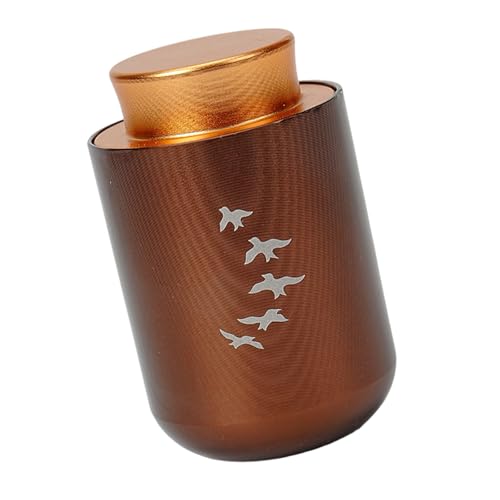 LIGSLN Einfache Asche Urne Gedenkschmuck Einäscherungsbox Metallglas Einäscherung Schmuck Urne Schatulle für Asche Haustier Asche Aufbewahrungsbehälter von LIGSLN