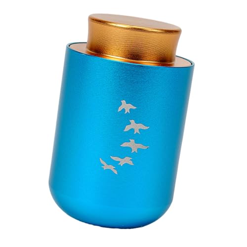 LIGSLN Einfache Asche Urne Gedenkschmuck Einäscherungsbox Metallglas Einäscherung Schmuck Urne Schatulle für Asche Haustier Asche Aufbewahrungsbehälter von LIGSLN
