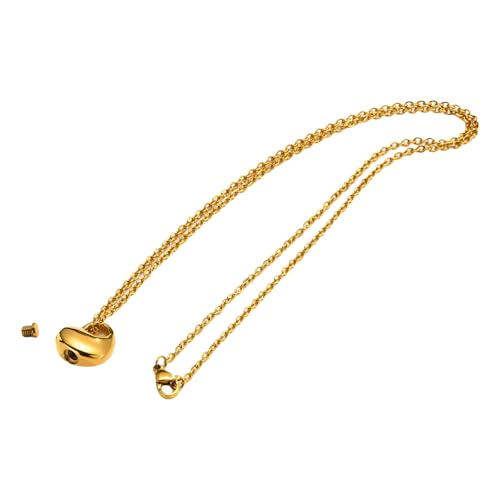 LIGSLN Gedenkurnen-Urnenschmuck, Haustier-Asche-Halskette, kreativer Haustier-Urnenschmuck, Urnen-Halskette, Asche, Gedenk-Halskette, Edelstahl LIGSLN Gedenkurnen-Urnenschmuck, Haustier-Asche-Halskette, kreativer Haustier-Urnenschmuck, Urnen-Halskette, Asche, Gedenk-Halskette, Edelstahl von LIGSLN