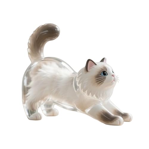 LIGSLN Schlüsselanhänger mit Katzenhaar, zum Sammeln von Katzen- und Hundehaaren, transparenter dekorativer Behälter, Haustier-Gedenkgeschenk von LIGSLN