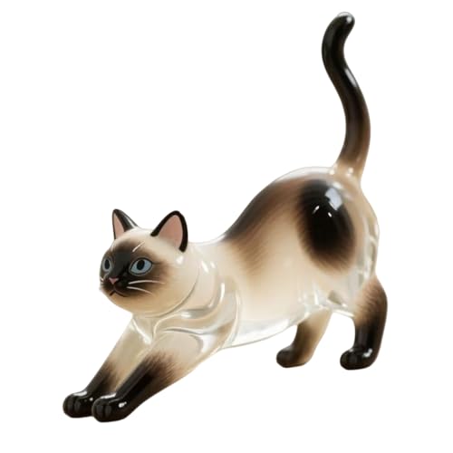 LIGSLN Schlüsselanhänger mit Katzenhaar, zum Sammeln von Katzen- und Hundehaaren, transparenter dekorativer Behälter, Haustier-Gedenkgeschenk von LIGSLN