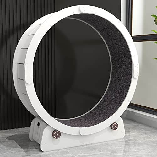 80/90/100 cm großes Katzenspielzeug, weißes Laufband-Rad für Katzen/Kratzbrett für Katzen mit Bremse, Kätzchenspielzeug 80/90/100 cm großes Katzenspielzeug, weißes Laufband-Rad für Katzen/Kratzbrett für Katzen mit Bremse, Kätzchenspielzeug von LIJBN