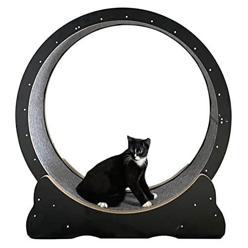 Black Cat Wheel Laufband für Übungen aus Holz, Laufband für Katzen, klein, mittelgroß/Übungsrad für Katzen/Kratzbrett für Katzen, Spielzeug für Katzen Black Cat Wheel Laufband für Übungen aus Holz, Laufband für Katzen, klein, mittelgroß/Übungsrad für Katzen/Kratzbrett für Katzen, Spielzeug für Katzen von LIJBN