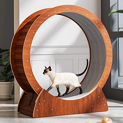 Braune Katze Rad Übung Laufband, Kleine Medium Große Katze Laufband Laufräder für Kätzchen Haustiere, Katze Laufrad 80/90/100/110cm (Größe: L-Durchmesser 100cm(39 3/8")) von LIJBN