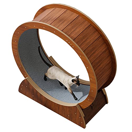 Brown Katze Trainingsrad kleine Luke, Laufband für Indoor-Katze Laufspielzeug für Kätzchen, hölzerne Katze Riesenrad dreht mit Teppichbahn (Größe: S-Innendurchmesser 68 cm(26 3/4")) von LIJBN