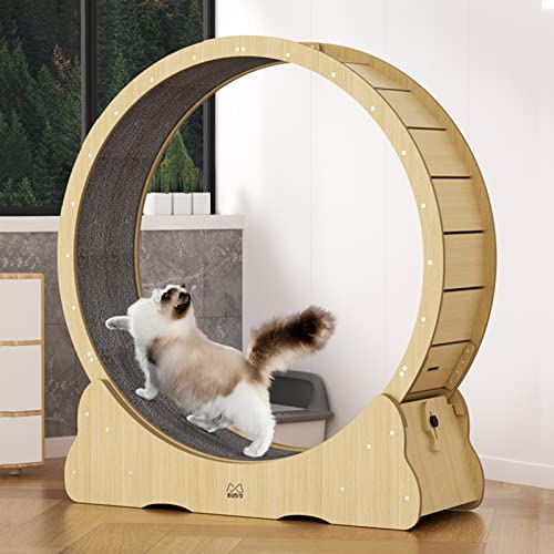 Cat Wheel Hochleistungs-Katzenlaufband, natürliches Katzenlaufrad für Katzenübungen, kleines/mittleres/großes Katzen-Spinnrad, 3 (Größe: 100 cm/39,4 Zoll) von LIJBN