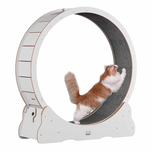 Cat Wheel Übungslaufband weiß, leise Katzenräder für Hauskatzen, kleines/großes Laufradspielzeug für Katzen, Katzen-Kitty-Spinnrad-Trainingsgerät (Größe: 90 cm/35,4 Zoll) von LIJBN