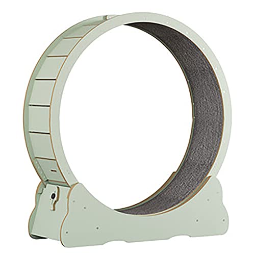 Green Cat Exercise Wheel Indoor Silent Pulleys Kitty's Fitness, Heavy Duty Indoor Cat Running Wheel, 77/80/90/100cm Green Cat Exercise Wheel Indoor Silent Pulleys Kitty's Fitness, Heavy Duty Indoor Cat Running Wheel, 77/80/90/100cm von LIJBN