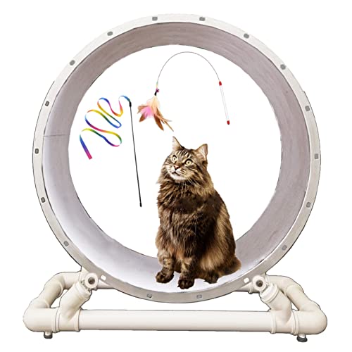 Großes Laufband für Katzenrad mit Katzenstange, starkes Laufband Rad für Katze mit Acrylrädern, leise Katze Riesenspielzeuge innen (Durchmesser M-Durchmesser 90 cm(35 3/8") von LIJBN