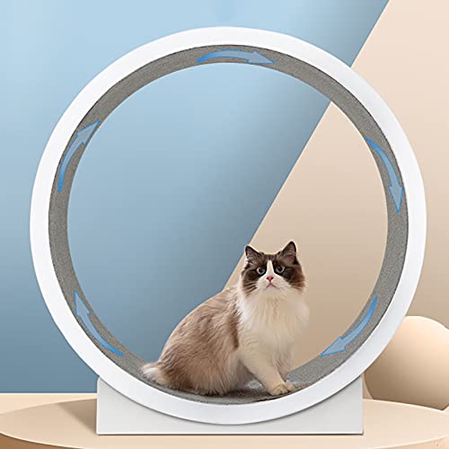 Großes weißes Katzen-Laufrad, leichtes Katzenübungsrad, leises Laufband für rotierende Katzen - Laufen, Kratzen, Sportspielzeug von LIJBN