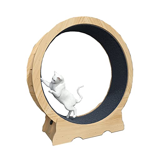 Holz-Katzenrad für Katzen im Innenbereich, Laufrad für Katzen mit geräuscharmen Rollen, Fitness, für eine längere Lebensdauer (Größe : XL) von LIJBN