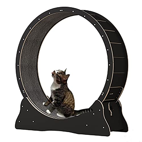 Holz Schwarz Katzenlaufband, Verschleißfestes Katzenübungsrad/Katzenverlustgewichtsgerät, Kletterspinnenrad für kleine/mittelgroße/große Katzen von LIJBN