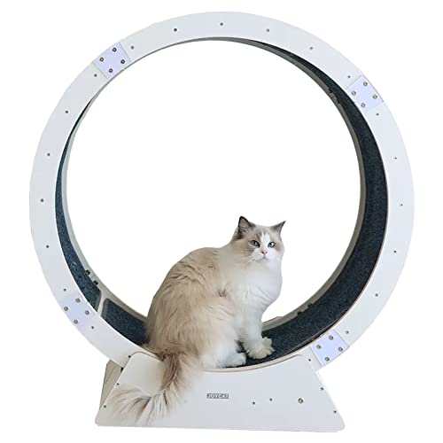 Indoor-Katzen-Laufrad, weiß, winzige Lücke, Anti-Pinch-Katzenlaufband, Katzen-Sportspielzeug für längere Lebensdauer, mit Sicherheitsverriegelung (Größe: Innendurchmesser: 110 cm) von LIJBN