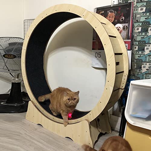 Kätzchen Katze Trainingsrad für Katzen Laufband, leise Laufräder für Katzen mit kleinem Platz mit Teppichstrecke, Kratzspielzeug Katzen für Katzen Kätzchen Katze Trainingsrad für Katzen Laufband, leise Laufräder für Katzen mit kleinem Platz mit Teppichstrecke, Kratzspielzeug Katzen für Katzen von LIJBN