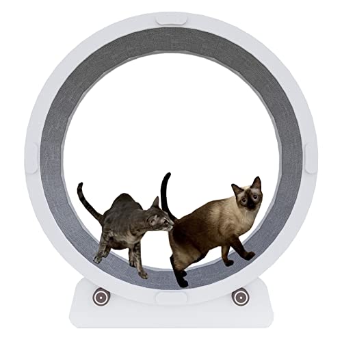 Katzen-Laufband-Rad für den Innenbereich, leise, 80/90/100 cm, Katzenlaufrad/Katzenkratzbrett, Riesenspielzeug (Größe L: Innendurchmesser 100 cm) von LIJBN