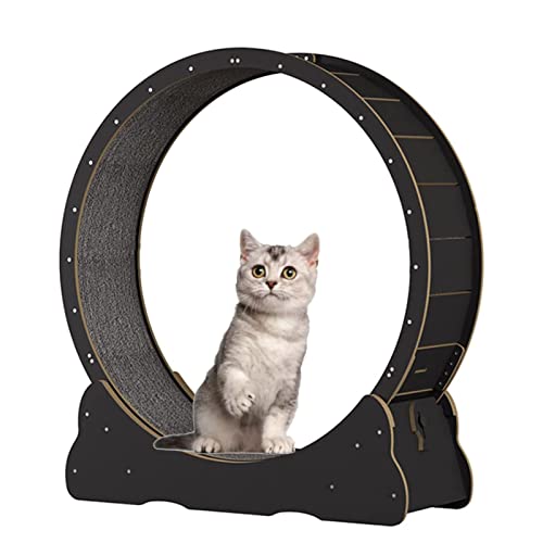Katzen-Laufrad für Indoor-Katzen, Katzenlaufband aus Holz, keine Lücke, Katzenrad-Trainingsgerät mit Sicherheitsverriegelung, einfache Montage (Größe: L) von LIJBN