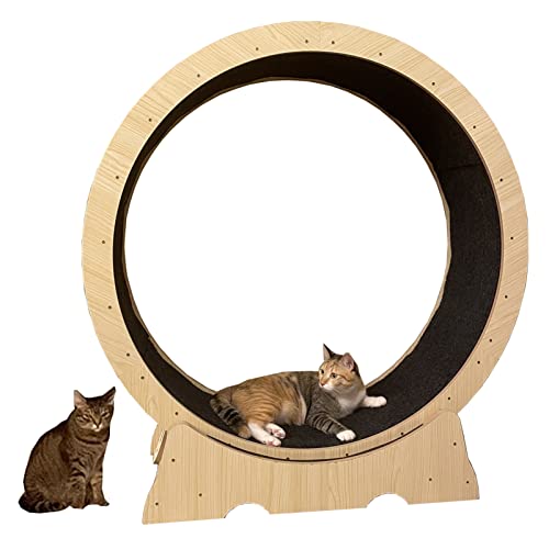 Katzen-Laufrad mit kleiner Lücke, 80/90/100 cm, großes Katzenlaufband/Katzenkratzbrett mit rutschfestem Teppichlaufbahn, Kätzchen, Haustier, Katzenrad (Größe: S-Innendurchmesser 80 cm) von LIJBN