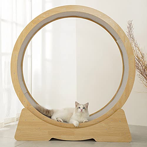 Katzenlaufband aus Holz, strapazierfähig, leise, Gewichtsverlust, Laufband mit Bremse, kleiner Lücke, Katzenlaufrad, Indoor-Katzen (Größe L: Durchmesser 107 cm) von LIJBN