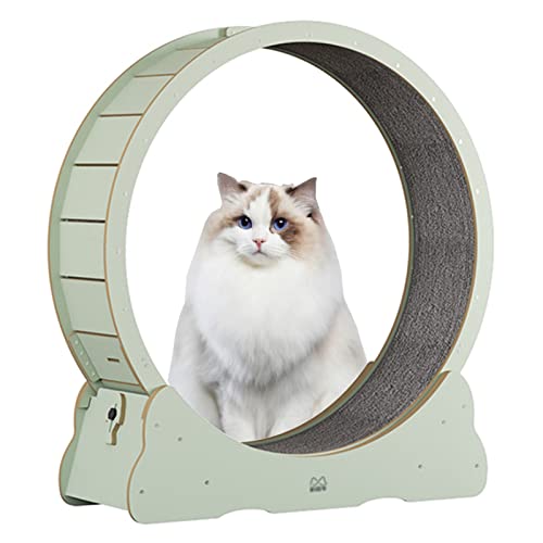 Katzenrad, Laufrad, klein, mittel, groß, grünes Holz, für Indoor-Katzen, rutschfestes Kratzbrett, Katzenspielzeug, 80/90/100 cm (Größe L: Innendurchmesser 100 cm) von LIJBN