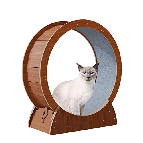 Katzenrad, braunes Katzen-Laufrad, Laufband für den Innenbereich, Laufband mit Teppichlaufbahn, kleine/mittel/große Katzen, Riesenrad-Spielzeug (Größe: 110 x 30 x 117 cm) von LIJBN
