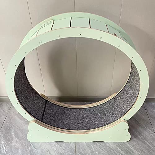 Katzenrad Laufband für Übungen Grün, klein, mittelgroß, groß, Katzenrad für Innenräume, mit Gehwegbremse für Teppiche, einfach zu montieren (Größe : M- Katzenrad Laufband für Übungen Grün, klein, mittelgroß, groß, Katzenrad für Innenräume, mit Gehwegbremse für Teppiche, einfach zu montieren (Größe : M- von LIJBN