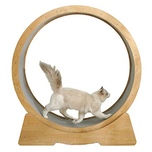 Katzenrad-Trainingsgerät für Indoor-Katzen, Holz, keine Lücken, Katzenlaufrad mit rutschfestem Teppich, Laufband für kleine, mittelgroße und große Katzen, Laufbandspielzeug (Größe L: Durchmesser 107 von LIJBN