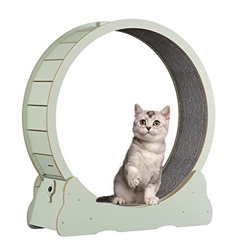 Katzenrad Übungslaufband, winzige Lücke Katzenlaufrad, leise und verschleißfest, Katzenhamsterrad, Katzenkletterrahmen/Katzenkratzer (Größe : M) von LIJBN
