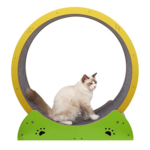 Kitten Cat Wheel Exerciser für Indoor-Katzen, Laufrad für kleine und mittelgroße Katzen, Anti-Pick, für Büro-Schlafsaal, Zuhause, einfach zu verwenden Kitten Cat Wheel Exerciser für Indoor-Katzen, Laufrad für kleine und mittelgroße Katzen, Anti-Pick, für Büro-Schlafsaal, Zuhause, einfach zu verwenden von LIJBN