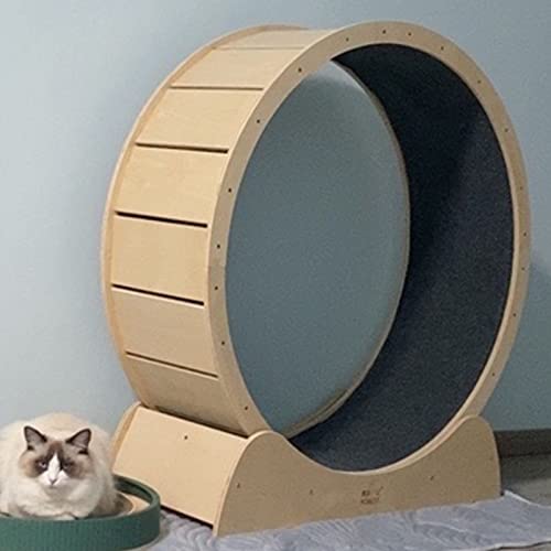 Laufband aus Massivholz, für den Innenbereich, Katzenspielzeug mit Bremse, robustes Katzenrad, klein, mittel, groß, leise, sicher (Größe S: Innendurchmesser 80 cm) von LIJBN