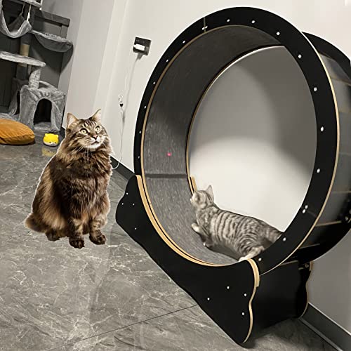 Laufband für Indoor-Katzen, leises Laufrad für Katzen, klein, mittel, groß, Katzenlaufrad, Spielzeug mit Bremse (Größe M: Innendurchmesser 90 cm) von LIJBN