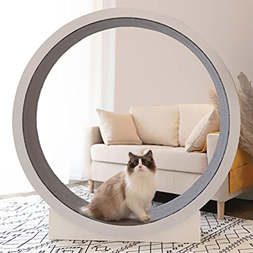Laufband für Kätzchen, Spielzeug, weiß, für den Innenbereich, klein, mittel, große Katze, Laufrad mit rutschfestem Teppich, Laufrad (Größe: 1) von LIJBN