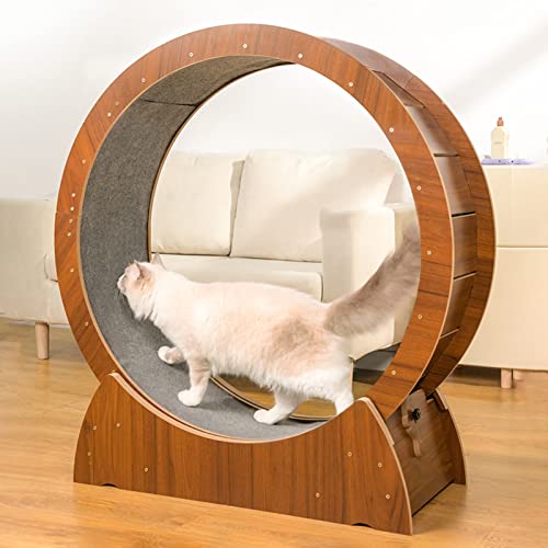 Laufband für Katzen mit kleinem Platz, Glücksrad für Katzenübungen aus Holz, Spielzeug für Katzen, Laufrad für Katzen, Kratzbrett Laufband für Katzen mit kleinem Platz, Glücksrad für Katzenübungen aus Holz, Spielzeug für Katzen, Laufrad für Katzen, Kratzbrett von LIJBN
