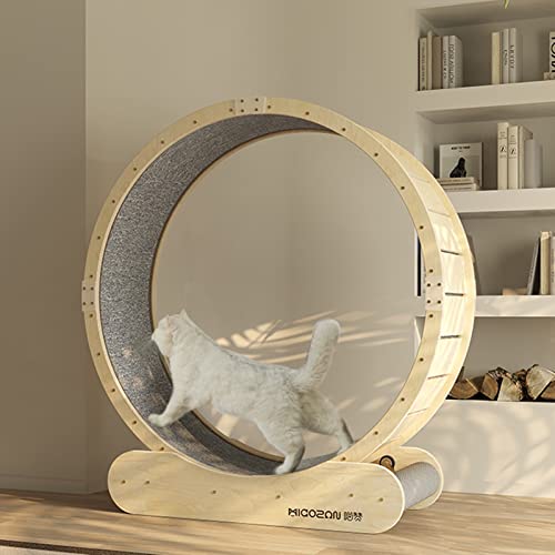 Laufband für Katzen mit rundem Winkel - 80/95/105 cm Durchmesser, klein/mittelgroß/großes Katzenübungsrad zum Abnehmen, kein Schlitz Leise Rotation Hamsterrad (Größe: S-80cm (31.5in)) von LIJBN